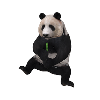 Panda - Vidit AR