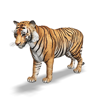 3D TIGER in Google (View AR Tiger 3D in Google Search) 